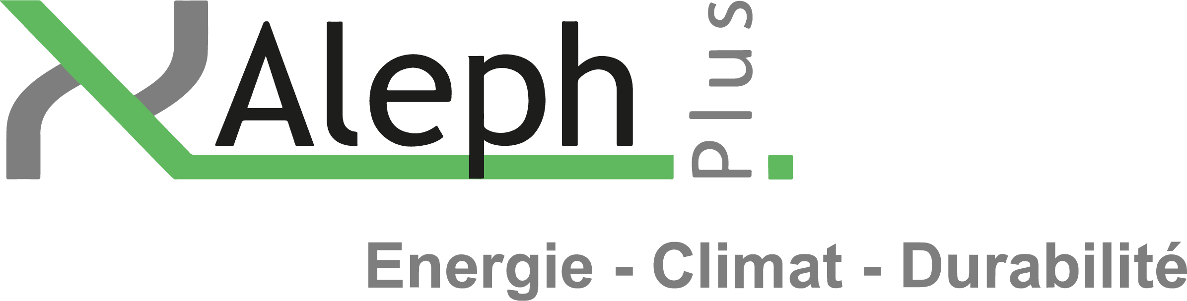 AlephPlus Logo Summit Foundation